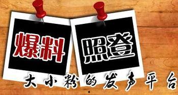 重庆今日爆料新闻最新,考古专家揭秘千年之谜